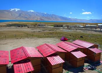 Tsomoriri Inn cottage