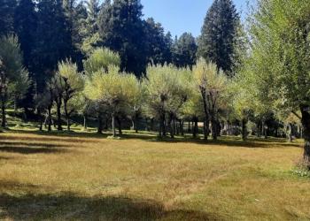 6N/7D Kashmir Tour Package 